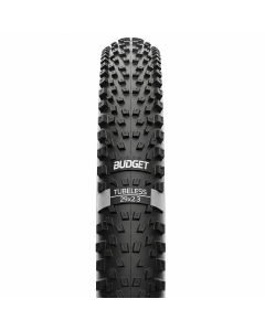 Budget Tubeless Tire