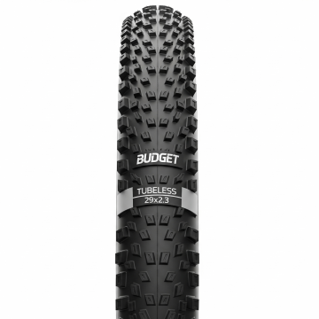 Budget Tubeless Tire